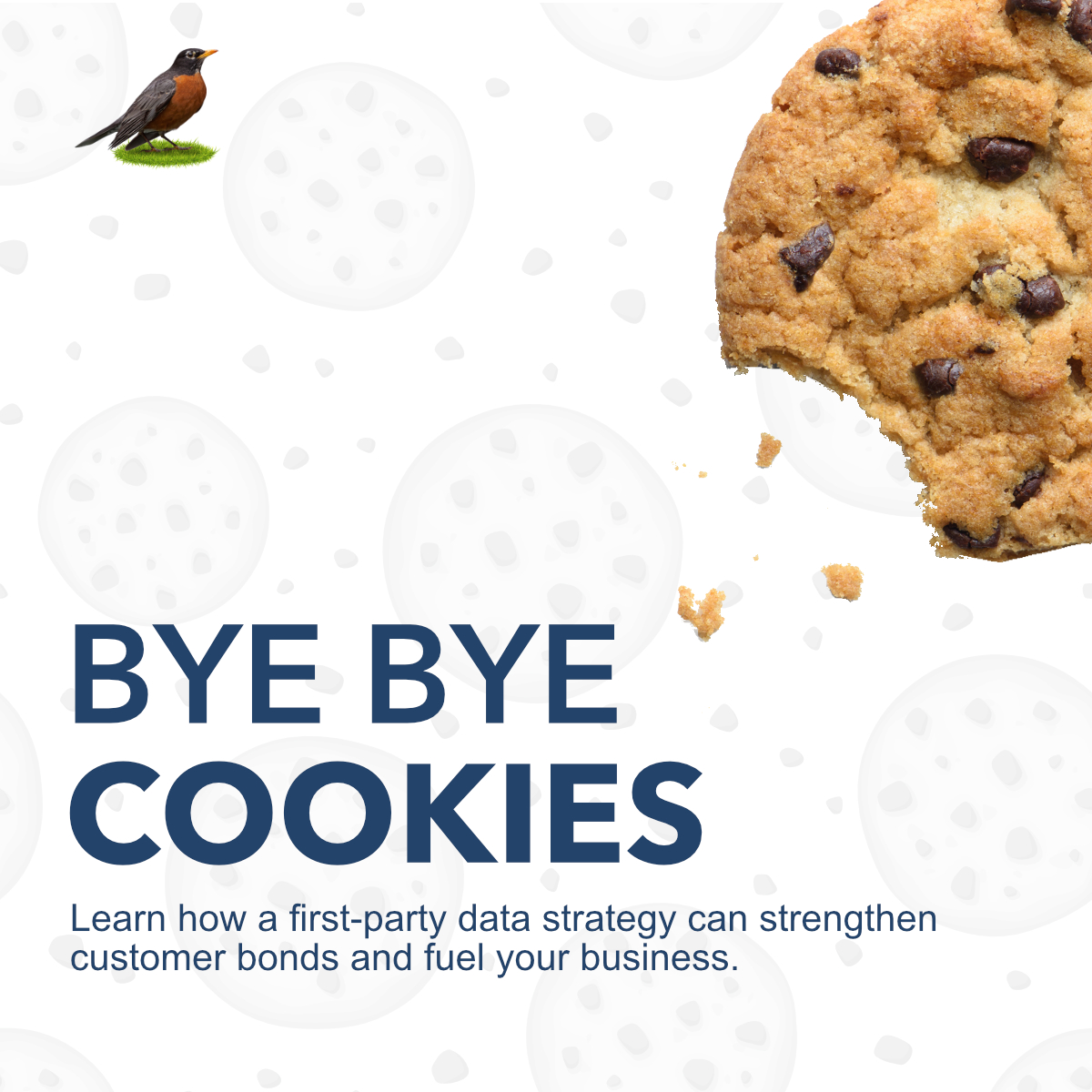 The Cookieless Future & First-Party Data: A Paradigm Shift in Digital ...